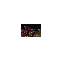BAJO JET GUITARS GOLD JJB-300