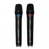 MICROFONO PROSOUND INALAMBRICO PWM-22D II