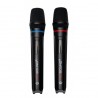 MICROFONO PROSOUND INALAMBRICO PWM-22D II